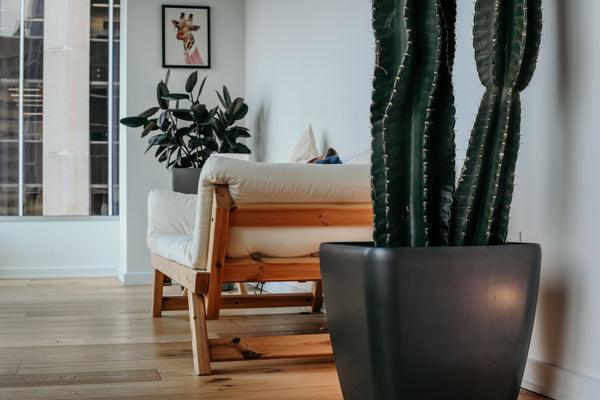interior design of room